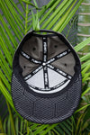 HEXA