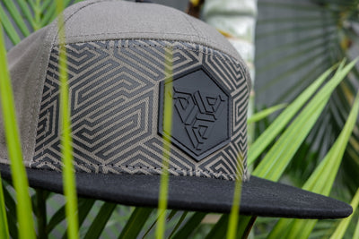 HEXA